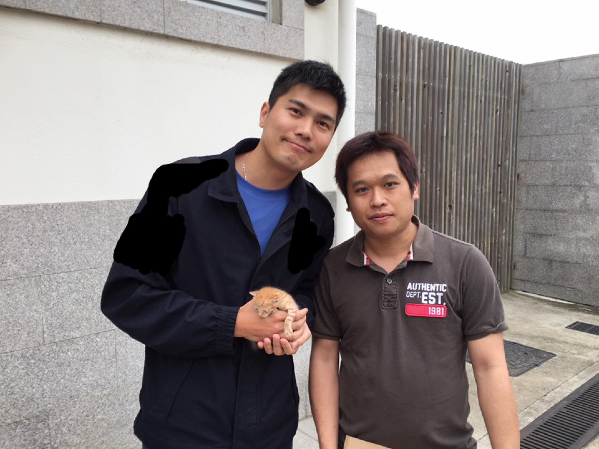 kitten-hongkong-road-3