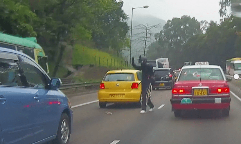 kitten-hongkong-road-1