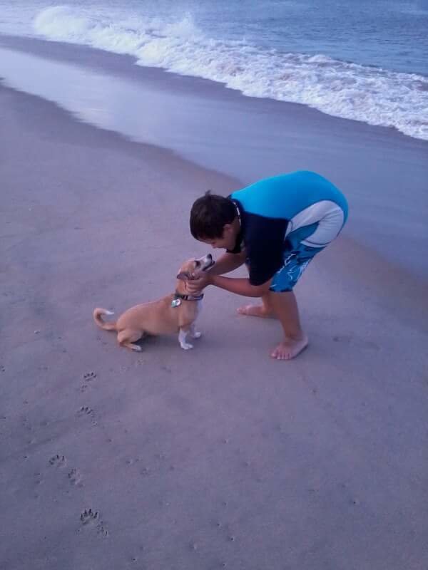 esperanza-chienne-chatons-sauvetage-5