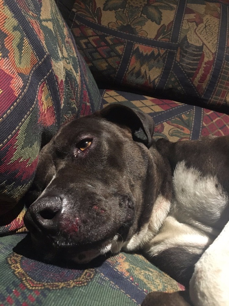 smokey-hit-and-run-2