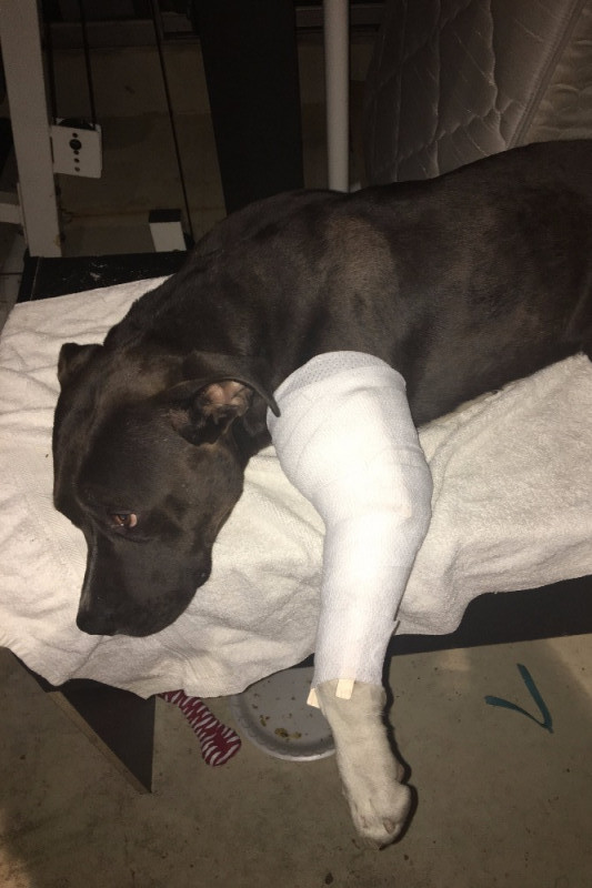 smokey-hit-and-run-3