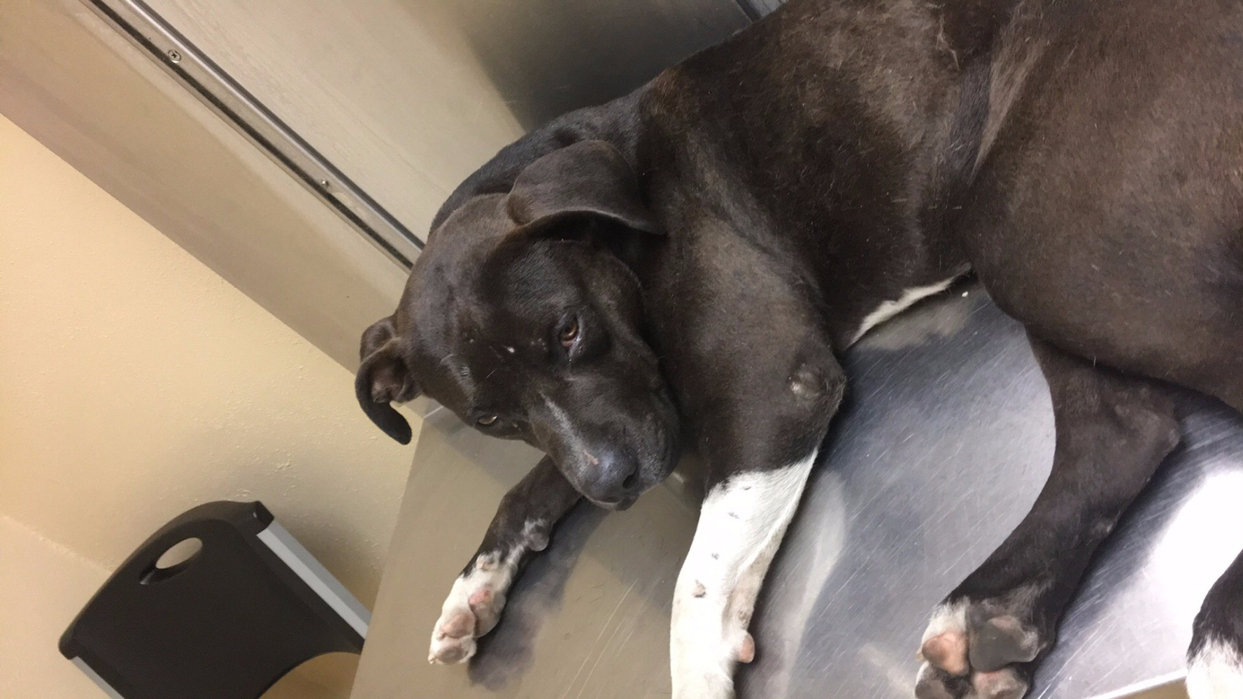 smokey-hit-and-run-1