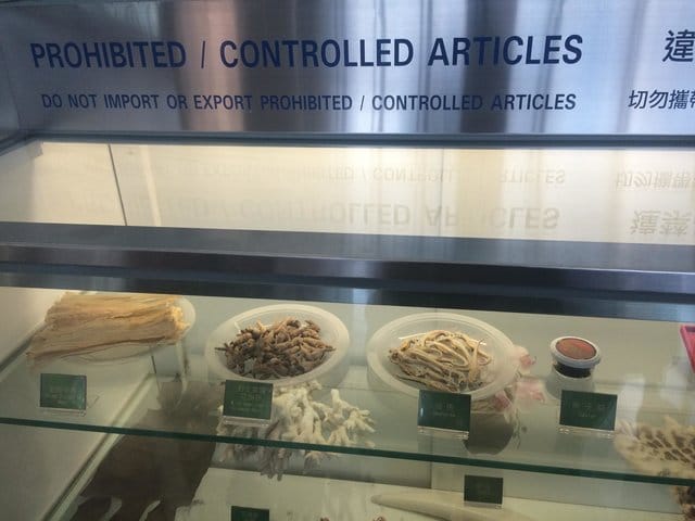 seahorses_medicine_shops_china_4