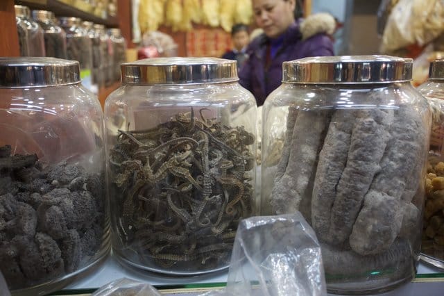 seahorses_medicine_shops_china_3