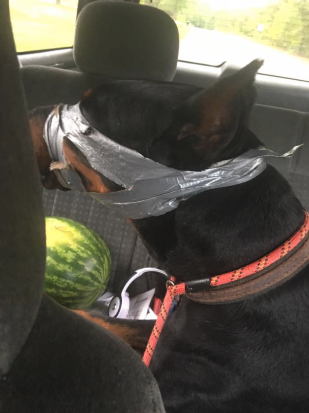 tank-tape-lexington-2