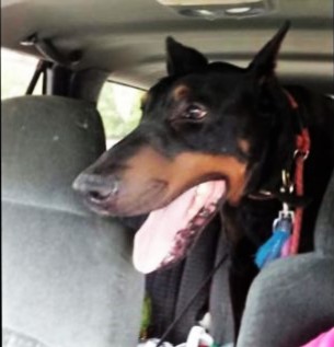 tank-tape-lexington-4