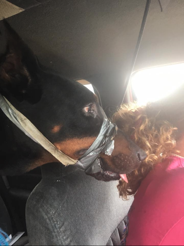 tank-tape-lexington-1