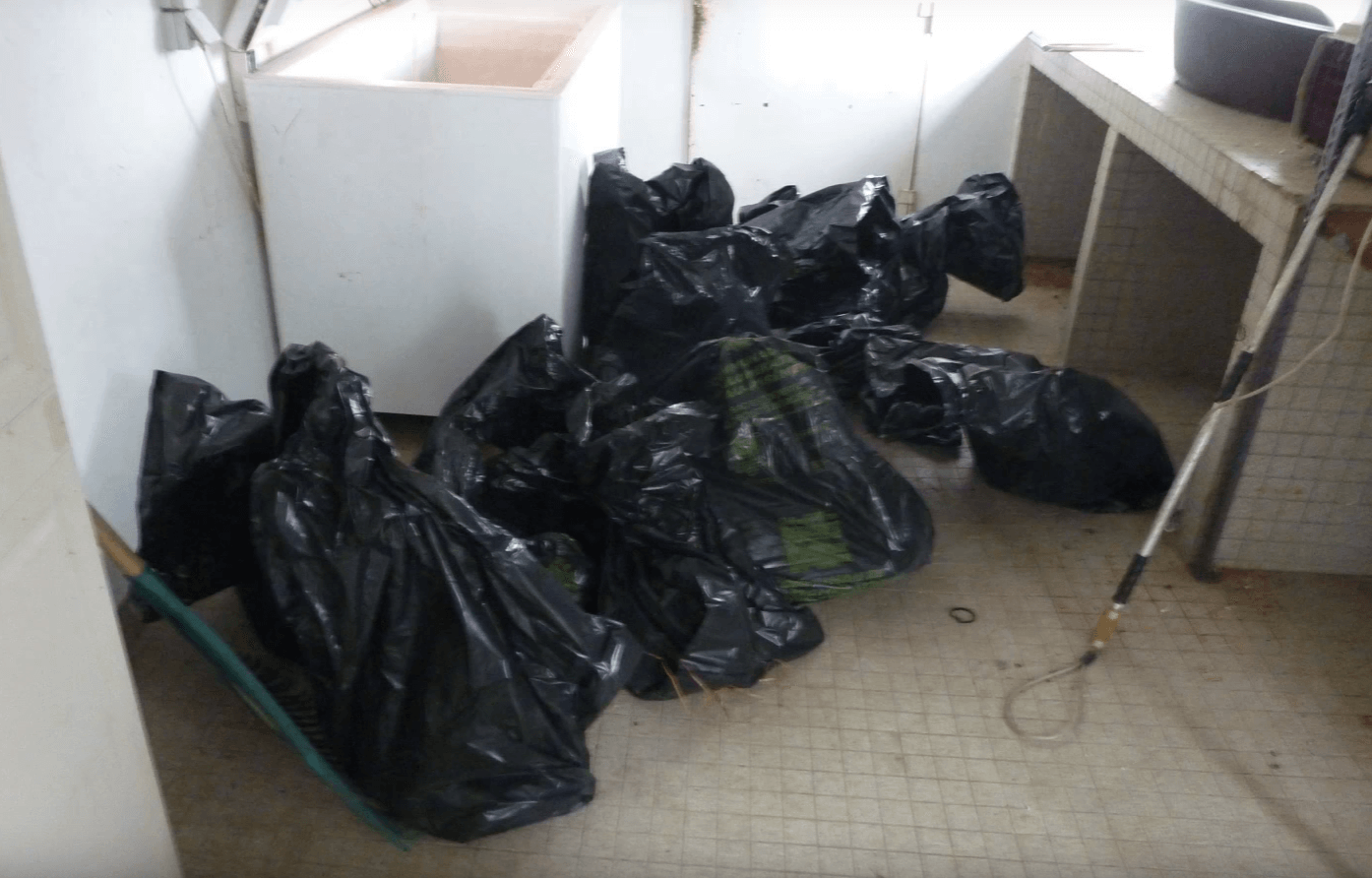 spa-pau-euthanasie-4