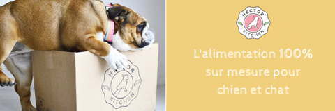 hector kitchen nourriture saine sur-mesure pour chien