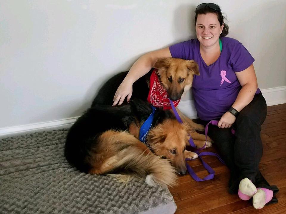 apollo_adonis_dog_pair_rescue_5