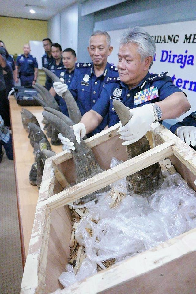 rhino-horn-malaysia-1