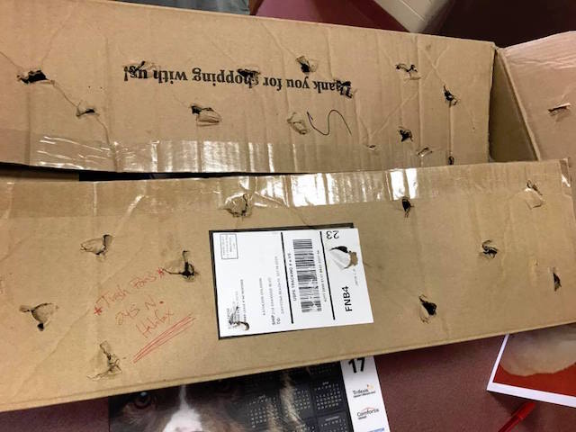 trash-collector-kittens-1