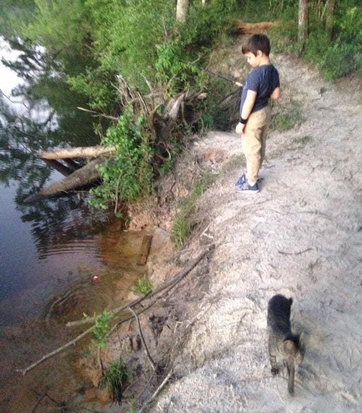 cats_kittens_camping_father_5