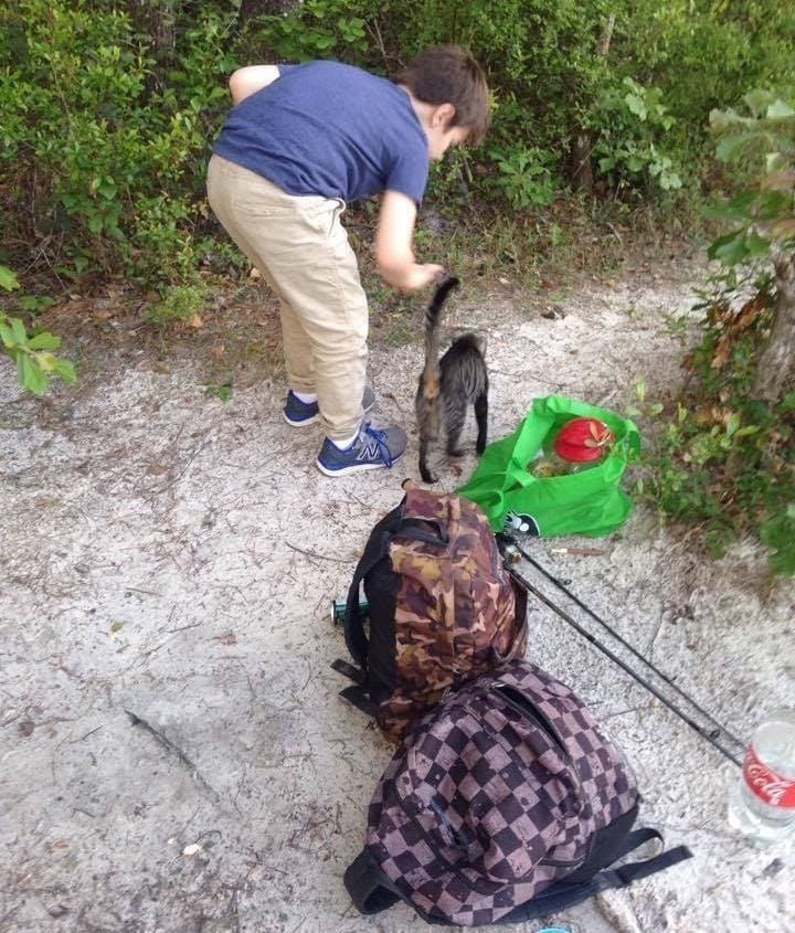 cats_kittens_camping_father_6