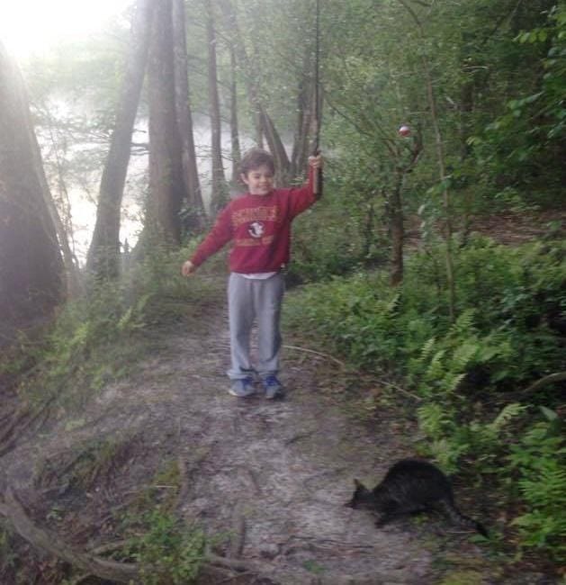 cats_kittens_camping_father_4