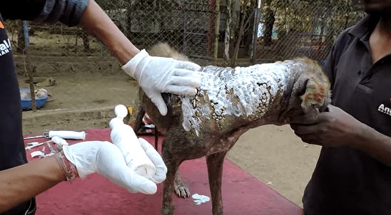 Screen Shot 2017-05-15 at 17.41.11