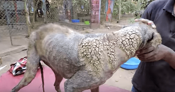 Screen Shot 2017-05-15 at 17.40.36