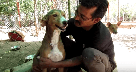 Screen Shot 2017-05-15 at 17.43.48