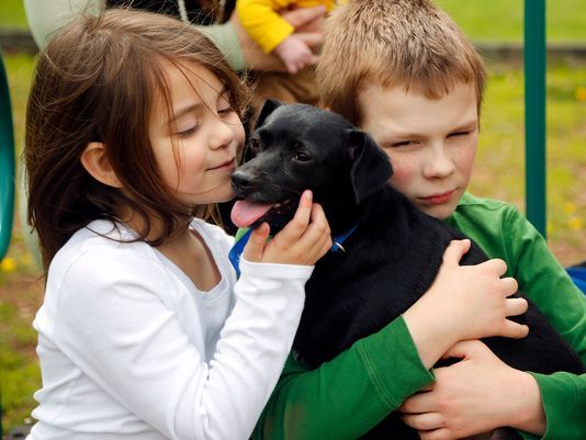 capone-chien-feu-sauvetage-4