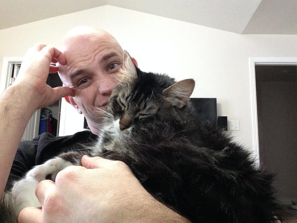 cat-hobbes-relationship-8