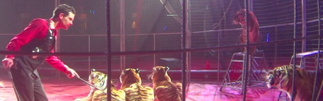 tigresse-fouet-cirque-1