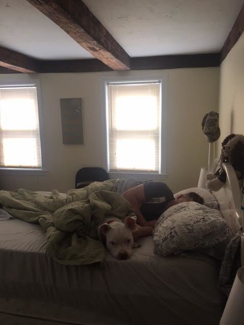 jacob-accident-voiture-adoption-sauvetage-7