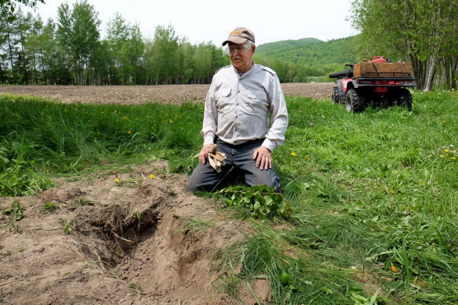 boxer-monteregie-enterre-vivant-2