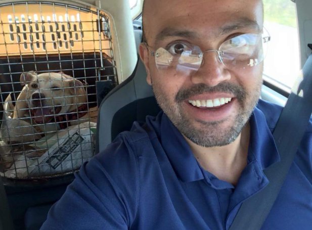 chiens-particularite-problemes-dos-5