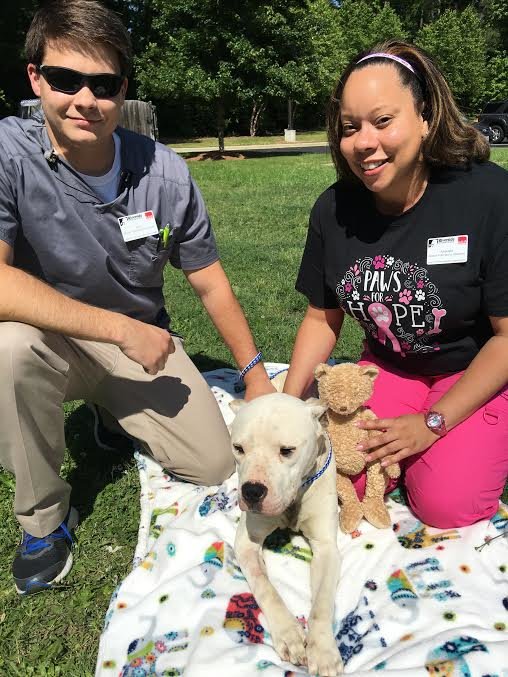 zeus-chien-blesse-ourson-5