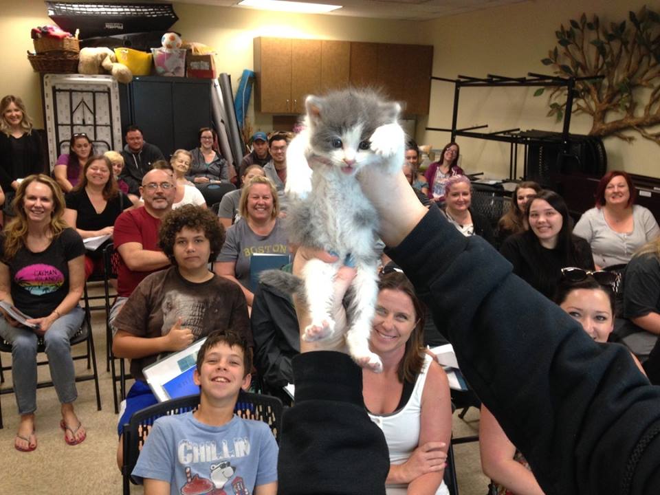 sacramento-animal-stores-3