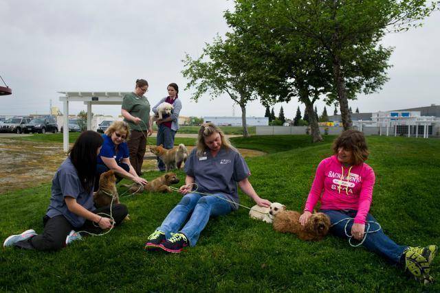 sacramento-animal-stores-2