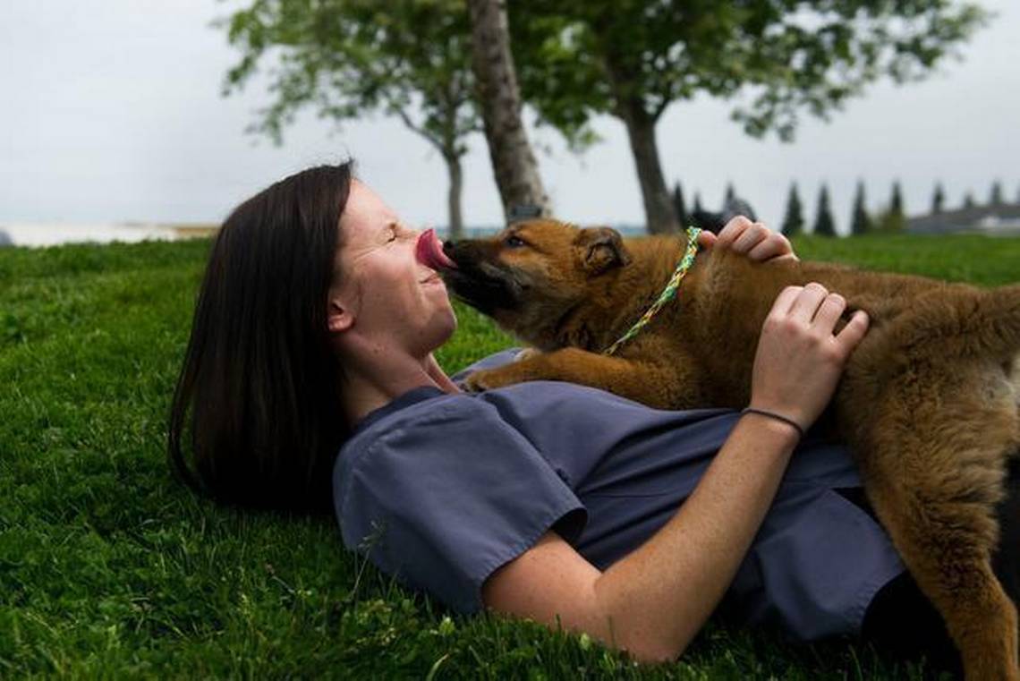 sacramento-animal-stores-1