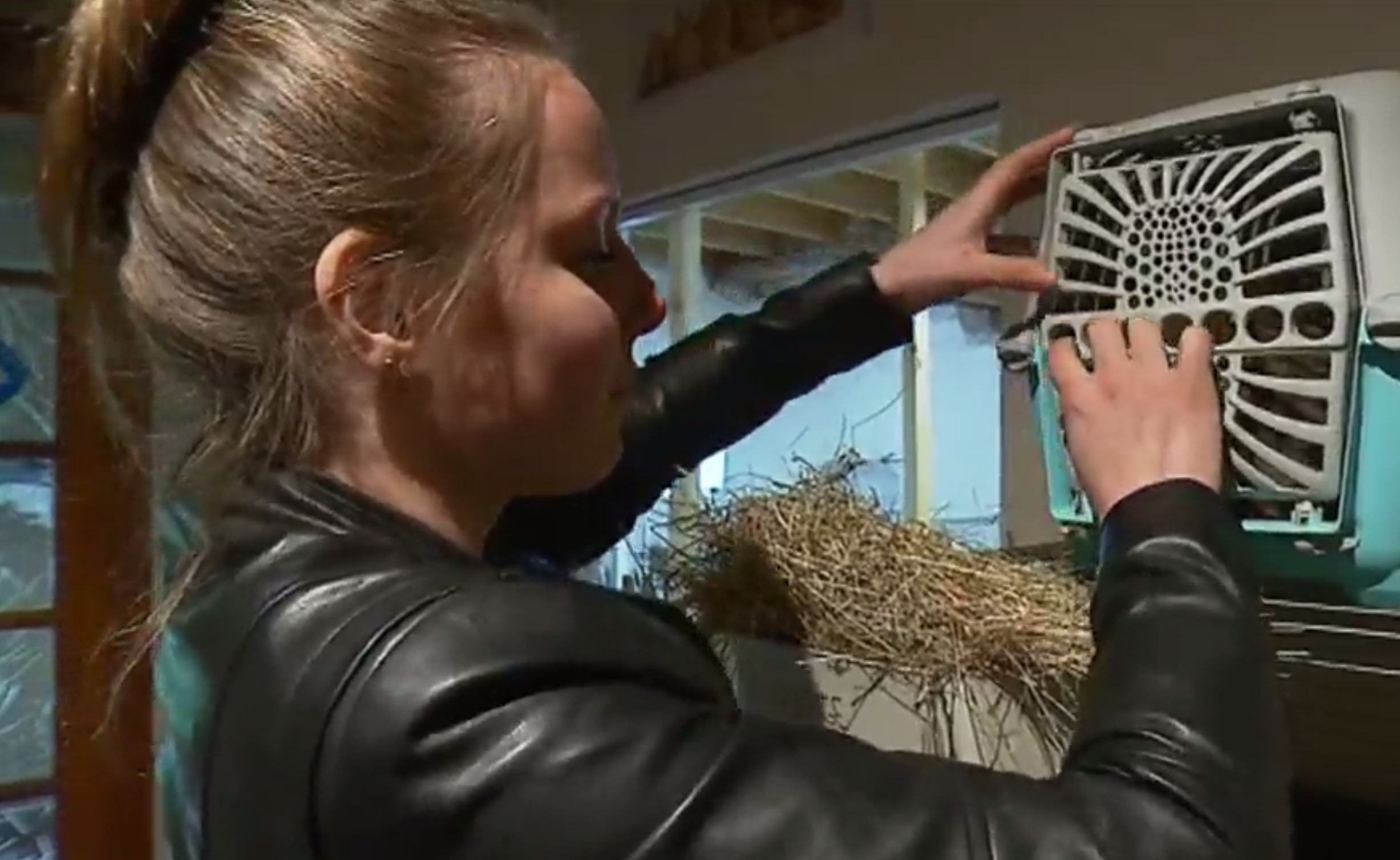 chloe-machado-refuge-lapins-isere-9