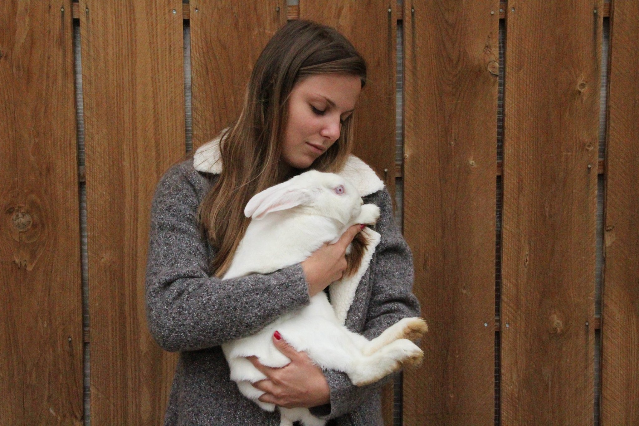 chloe-machado-refuge-lapins-isere-13