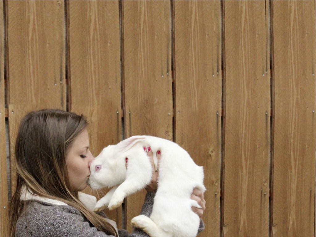 chloe-machado-refuge-lapins-isere-11