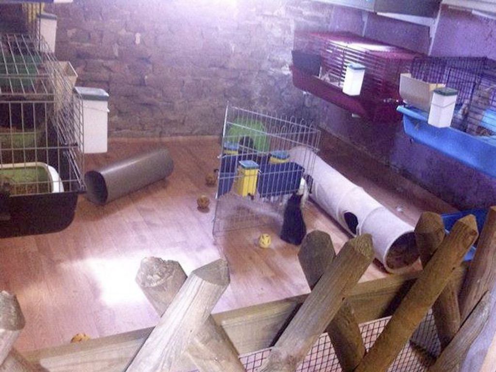 chloe-machado-refuge-lapins-isere-12