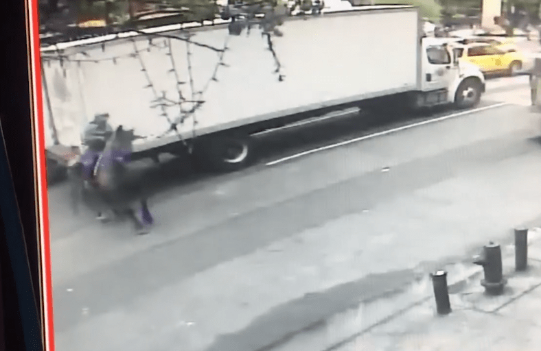 billy_horse_nyc_taxi_5