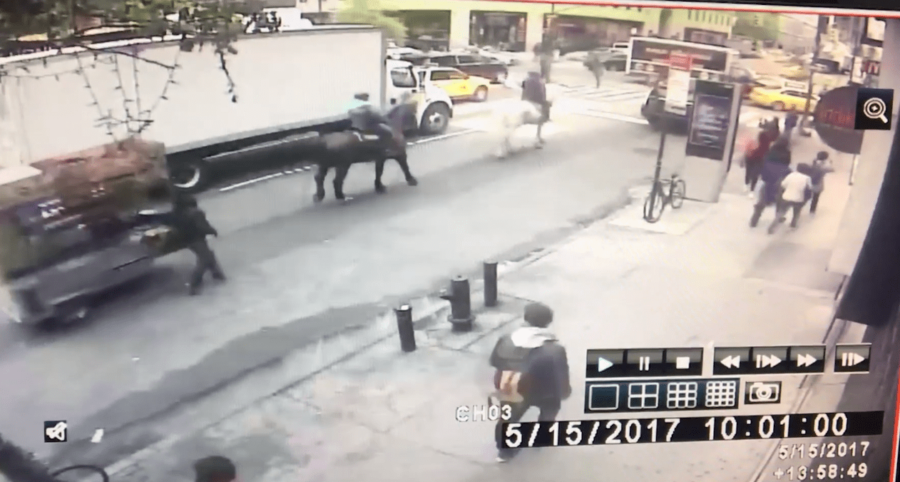 billy_horse_nyc_taxi_4