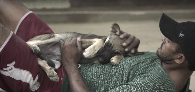homeless-dog-shelter-rio-5