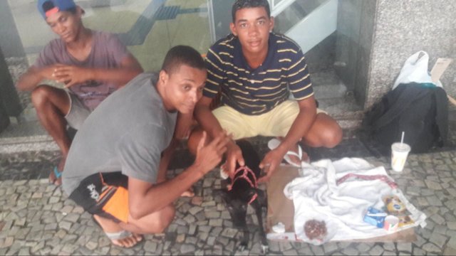 homeless-dog-shelter-rio-1