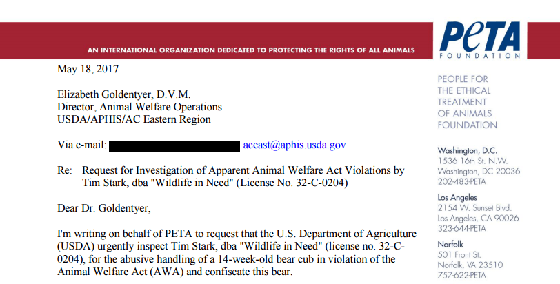 bear-gizzy-roadside-4