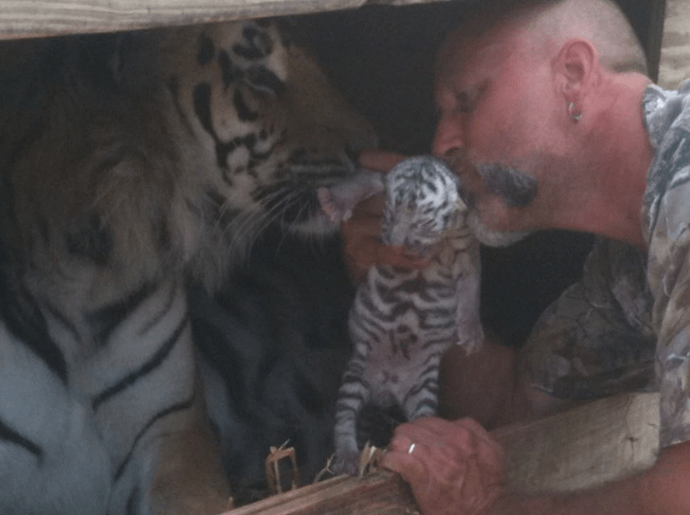 bear-gizzy-roadside-2