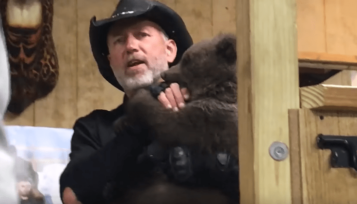 bear-gizzy-roadside-3