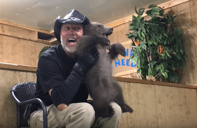 bear-gizzy-roadside-1