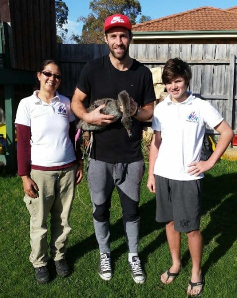 swan_cpr_rescue_cpr_1