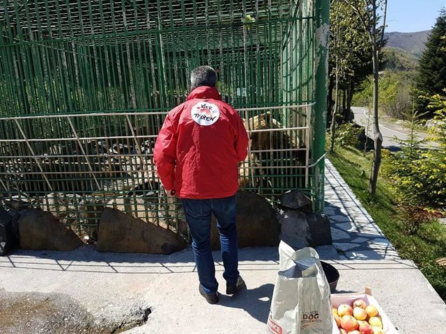 ours-maltraitance-albanie-4