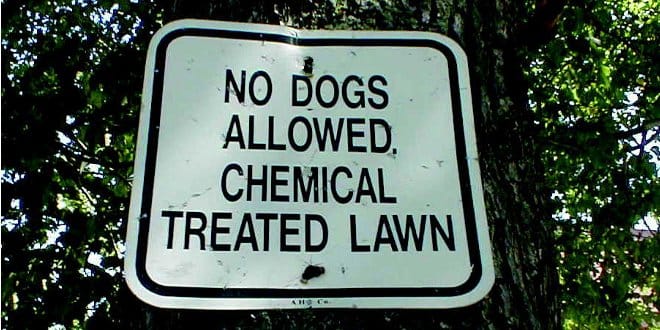 pet_toxins_list_4
