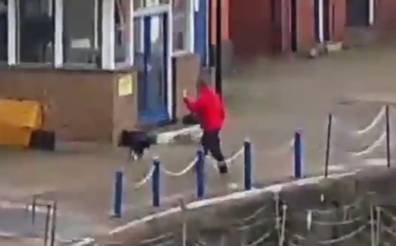 felix-cat-fell-tamise-4