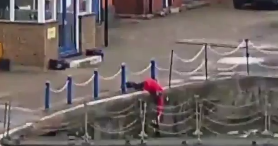 felix-cat-fell-tamise-3