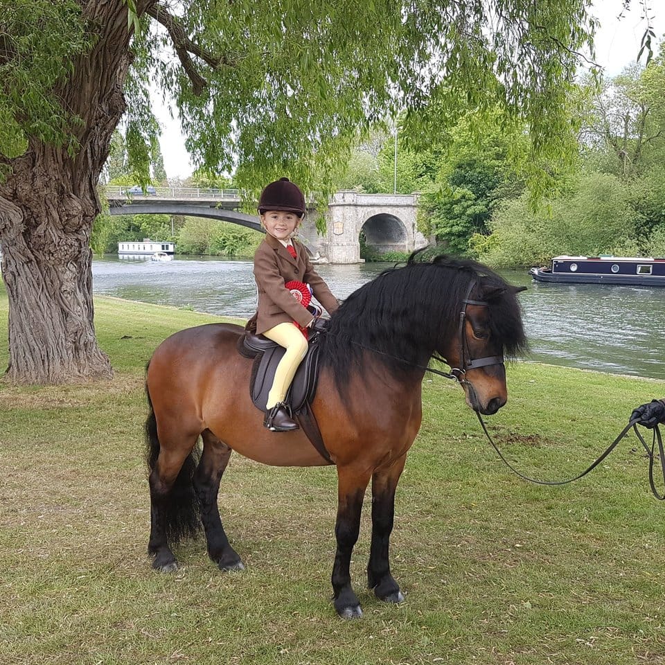 roy_pony_neglect_show_4